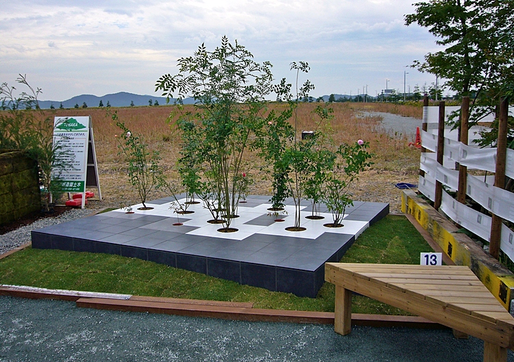 2007�����뉀�t�F�A